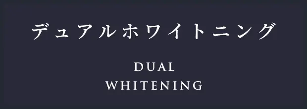 デュアルホワイトニング・ダブルホワイトニング